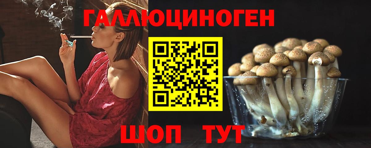 Псилоцибиновые грибы мицелий  Вход с VPN  Кольчугино 